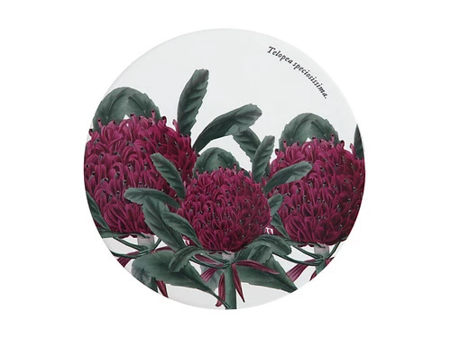 Royal Botanic Gardens Ceramic Round Trivet 20cm Telopea 3 Royal Botanic Gardens Ceramic Round Trivet 20cm Telopea