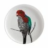 Marini Ferlazzo Birds Plate 20cm Australian King Parrot -Dinnerware shop dx0596