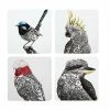 Marini Ferlazzo Birds Of Australia Cork Back Coaster 10.5cm Set Of 4 Gift Boxed -Dinnerware shop gi0133