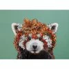 Marini Ferlazzo Wild Planet Placemat 43.5x28.5cm Red Panda