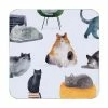 Marc Martin Feline Friends Cork Back Coaster 10.5cm Set Of 4 Gift Boxed 2 Marc Martin Feline Friends Cork Back Coaster 10.5cm Set Of 4 Gift Boxed -Dinnerware shop gi0324