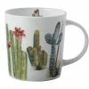 Royal Botanic Garden Arid Garden Mug 300ML Saguaro Gift Boxed 1 Royal Botanic Garden Arid Garden Mug 300ML Saguaro Gift Boxed -Dinnerware shop jy0001