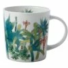 Royal Botanic Garden Arid Garden Mug 300ML Agave Gift Boxed 1 Royal Botanic Garden Arid Garden Mug 300ML Agave Gift Boxed -Dinnerware shop jy0002