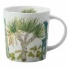 Royal Botanic Garden Arid Garden Mug 300ML Dracaena Gift Boxed -Dinnerware shop jy0003