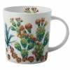 Royal Botanic Garden Arid Garden Mug 300ML Prickly Pear Gift Boxed -Dinnerware shop jy0004